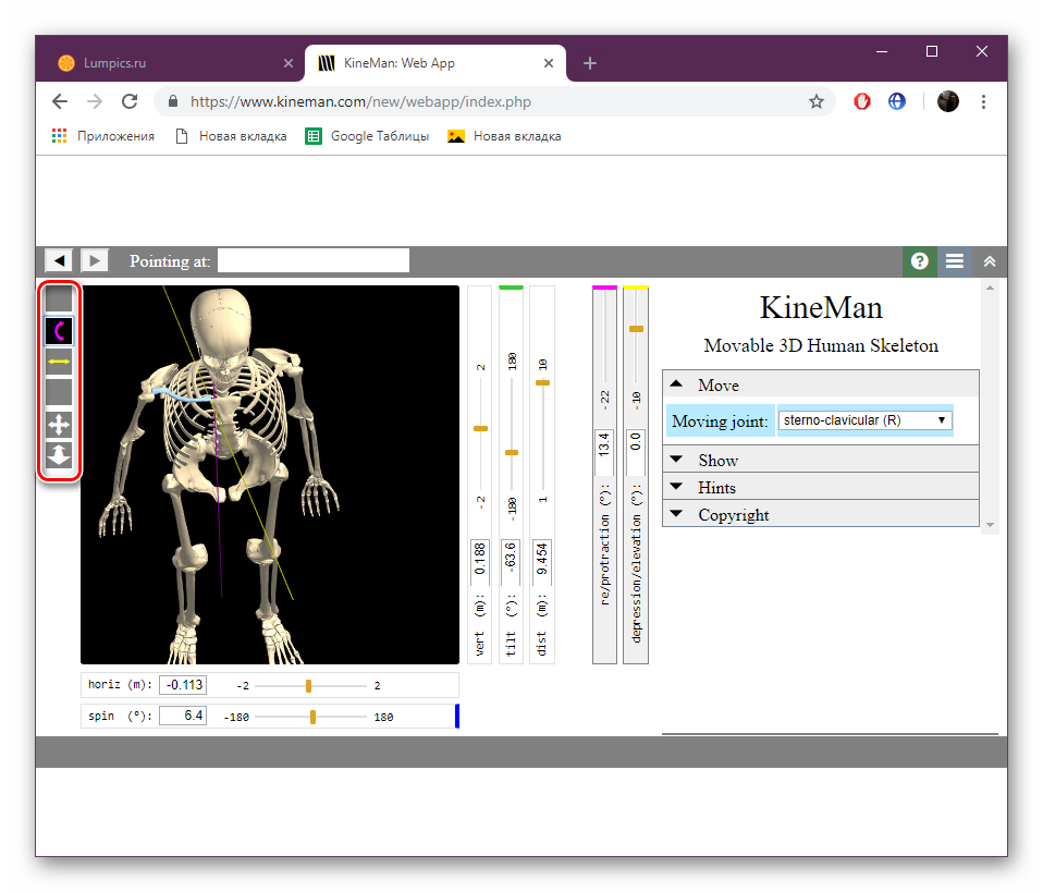 Элементы управления скелетом на сайте KineMan